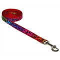 Sassy Dog Wear Sassy Dog Wear LEOPARD-RAINBOW1-L 4 ft. Leopard Dog Leash; Rainbow - Extra Small LEOPARD-RAINBOW1-L